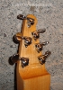 guitar headstock view